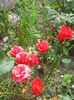 IMG_20140802_122833