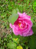 IMG_20140802_122910