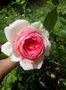 IMG_20140802_122958