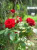 IMG_20140802_123127