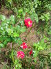 IMG_20140802_123137