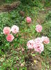 IMG_20140802_123259