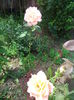 IMG_20140802_123604