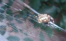 IMG_20140727_110336