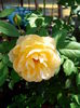 IMG_20140809_133208