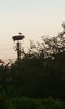 IMG_20140803_203548