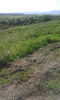 IMG_20140803_175827