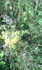IMG_20140803_180102