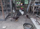 Picture 3566