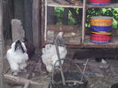 Picture 3567