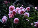 DSC01111