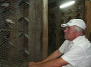 Picture 3624