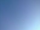 Imag 011294
