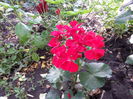20140802_094751