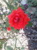 IMG_20140810_110547
