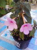 IMG_20140718_192925