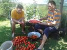 20140809_113558