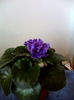 IMG_20140811_113510