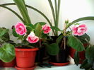 IMG_20140811_115051