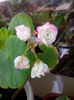 IMG_20140811_125607