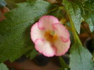 P1070274