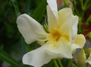 DSCN8942