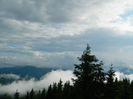 DSCN8954