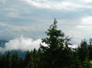 DSCN8977