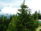 DSCN8980