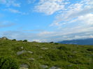 DSCN9006
