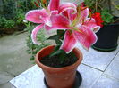 DSC01502 - Copy