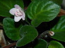 DSCN0325