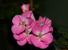 DSCN0329