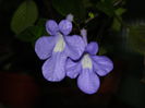 DSCN0330