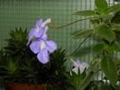 DSCN0331