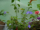 DSCN0332