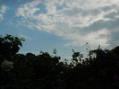 DSCN0334