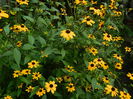 DSCN0337