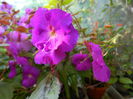 DSCN0425