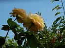 DSCN0430