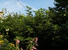 DSCN0439