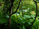 DSCN0440