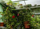 DSCN0445