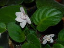 DSCN0446
