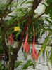DSCN0452