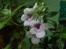 DSCN0469