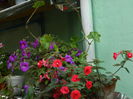 DSCN0470
