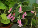 DSCN0471