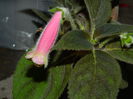 DSCN0472