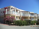 DSC01913